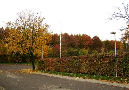 efterår gade efterår gade