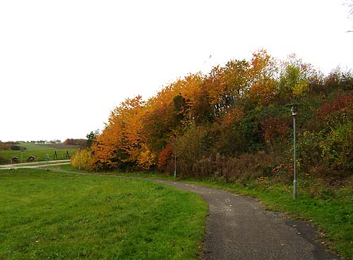 efterår sti efterår sti