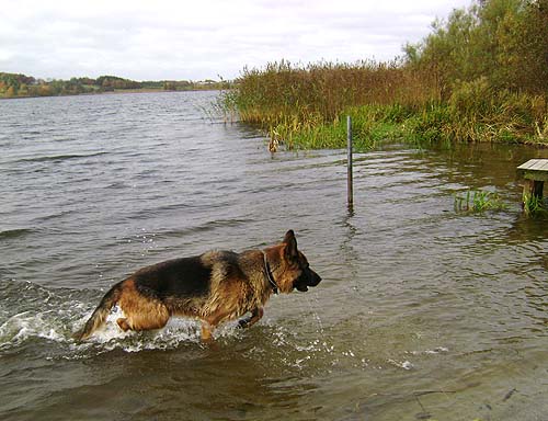efterår w og vand efterår w og vand