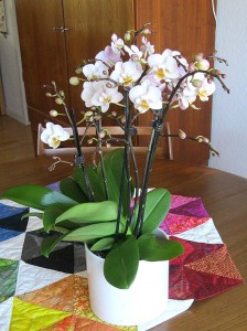 mors dags orkide